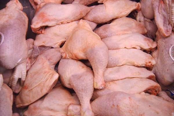 Cargaison de la mort : Kinshasa frôle la catastrophe sanitaire après l’interception de poulet polonais contaminé