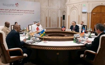 Processus de Doha: le COJMCO salue la signature de la déclaration des principes, mais invite le peuple à ne pas tomber dans le triomphalisme