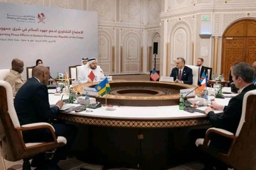 Processus de Doha: le COJMCO salue la signature de la déclaration des principes, mais invite le peuple à ne pas tomber dans le triomphalisme